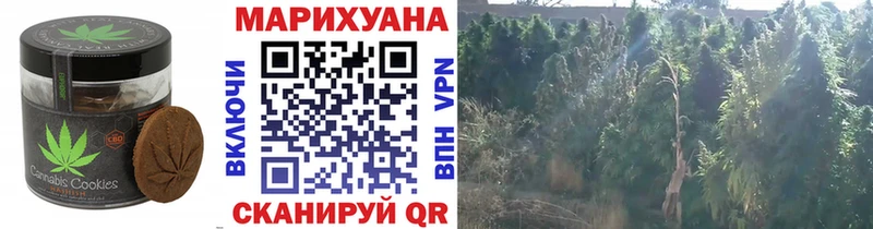 Еда ТГК марихуана  Купить закладки  Удомля 