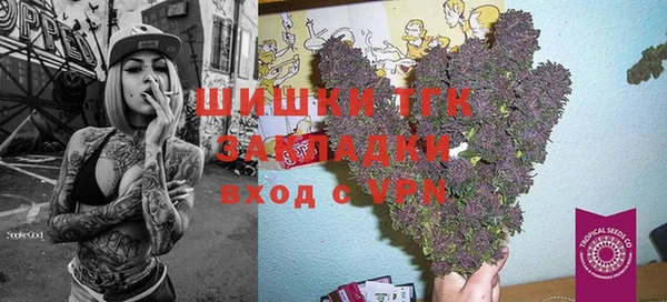 винт Осташков