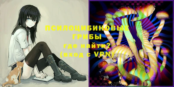 винт Осташков