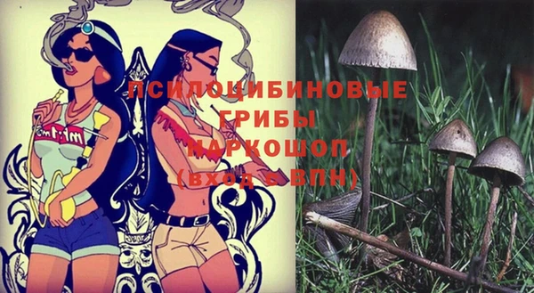 винт Осташков